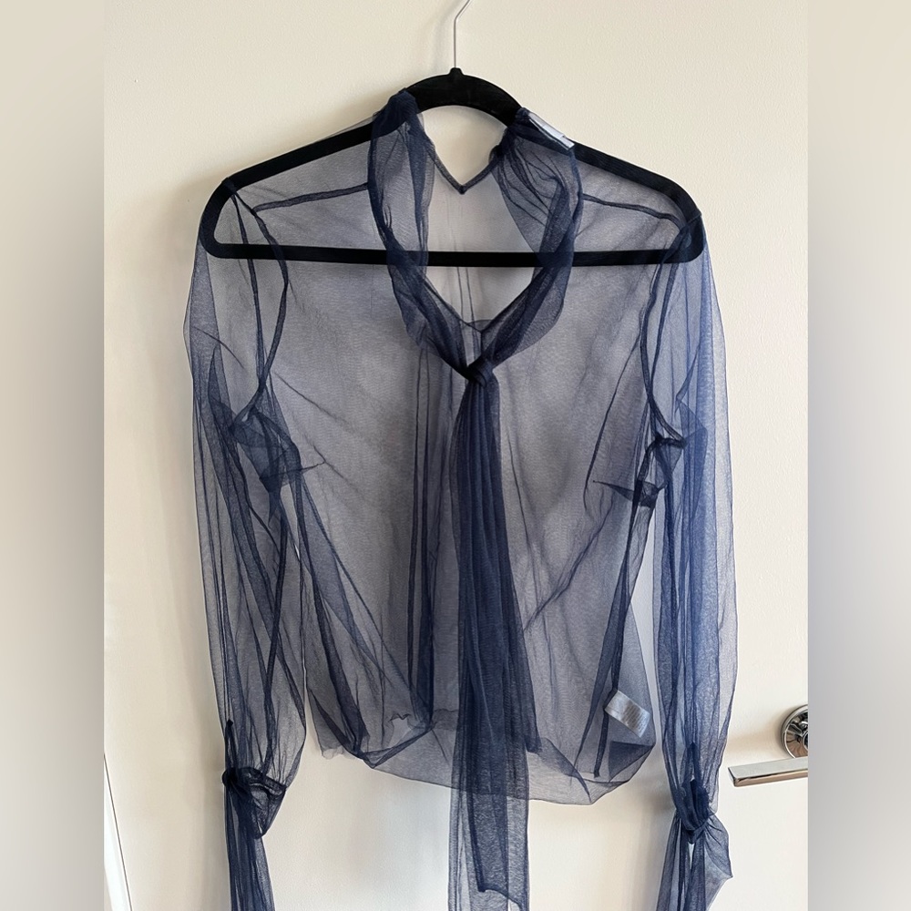 Sheer Blouse